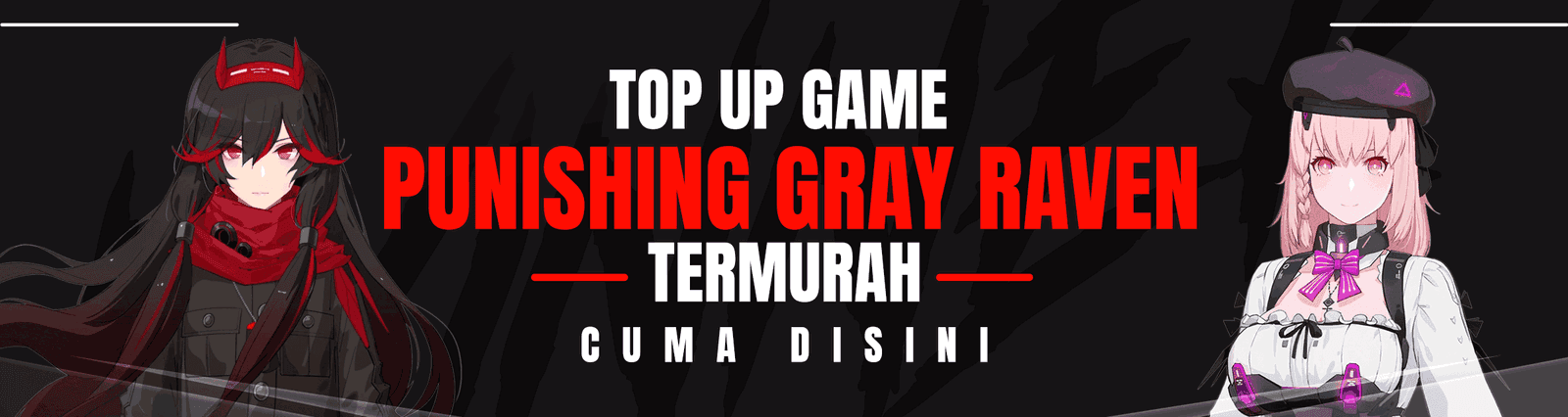 Punishing Gray Raven Banner