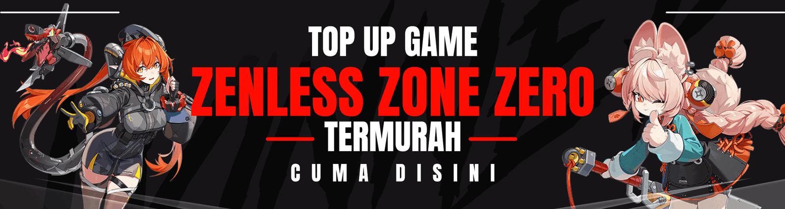 Zenless Zone Zero Banner